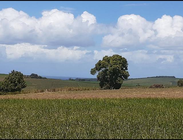 8.62HA FARM FOR SALE IN FAIRBREEZE